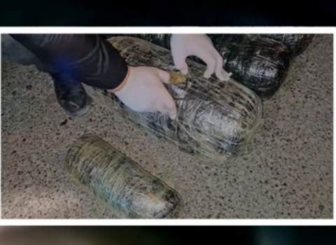 Neftçalada 20 kiloqram narkotik vasitə aşkarlandı