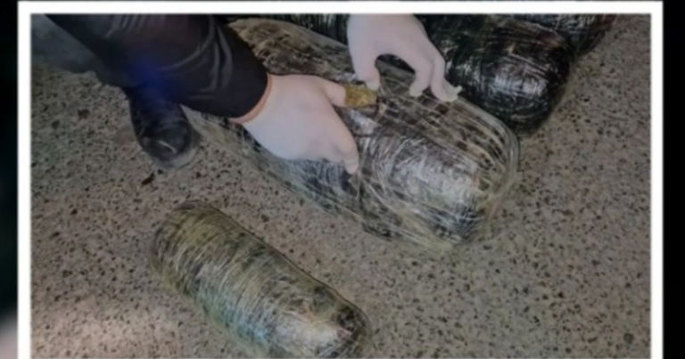 Neftçalada 20 kiloqram narkotik vasitə aşkarlandı Neftçalada 20 kiloqram narkotik vasitə aşkarlandı
