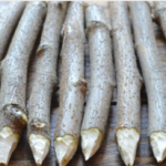 Rusiyada cadu, sehr əşyaları və fal kartlarının satışı rekord həddə çatdı