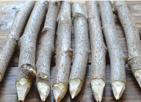 Rusiyada cadu, sehr əşyaları və fal kartlarının satışı rekord həddə çatdı