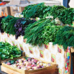 Bakıda göyərti çəki ilə satılmağa başlayıb