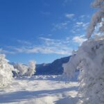 Qarın hündürlüyü 41 sm-ə çatıb – FAKTİKİ HAVA