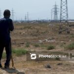 Çobanlar yarım milyon manatlıq cinayətə görə həbs edildilər