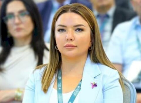 Aygün Əliyevaya yeni vəzifə verildi