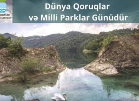 Bu gün bütün qoruq və milli parkların qapısı açıq olacaq
