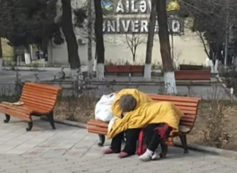 Küçədə yaşayan ana və oğlu ilə bağlı qurumlar nəyi açıqladılar?