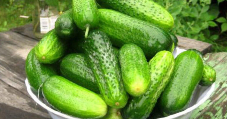 Bu xiyarlar bankada partlaya bilər Bu xiyarlar bankada partlaya bilər