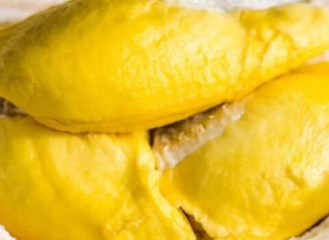 Dünyanın ən bahalı meyvəsidir, lakin yemək qadağandır