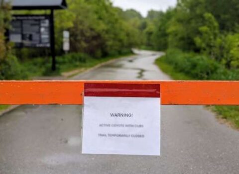 Girişi qadağan olunan ən sirli 5 məkan – FOTO