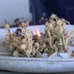 XƏBƏRDARLIQ: Azərbaycanda üzərlikdən istifadə qadağan oluna bilər