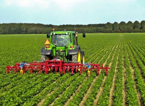 Aqrar sektorda sürətli eniş davam edir – hökumət təcili olaraq nə etməlidir?