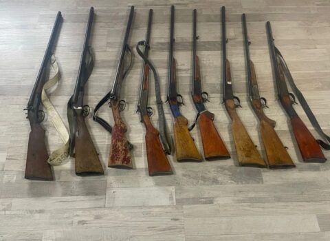 Polis ötən gün Azərbaycanda 20 silah aşkarlayıb