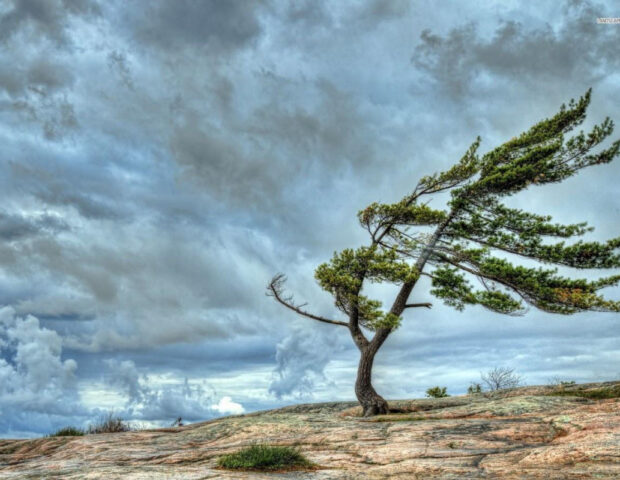 Sabah külək əsəcək, duman olacaq