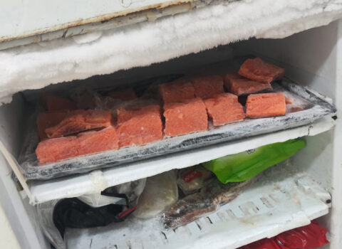 “SushiNano”nun fəaliyyəti dayandırıldı – Nöqsanlar var imiş