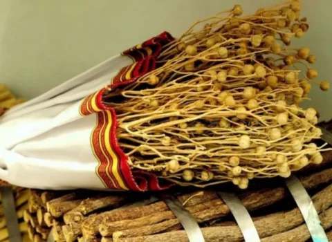 AZAL Rusiyaya üzərlik aparan vətəndaşlara xəbərdarlıq etdi