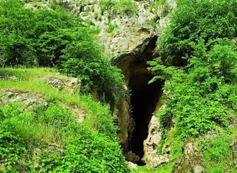 Xocavənddə neandertal insana aid daha bir qalıq tapıldı