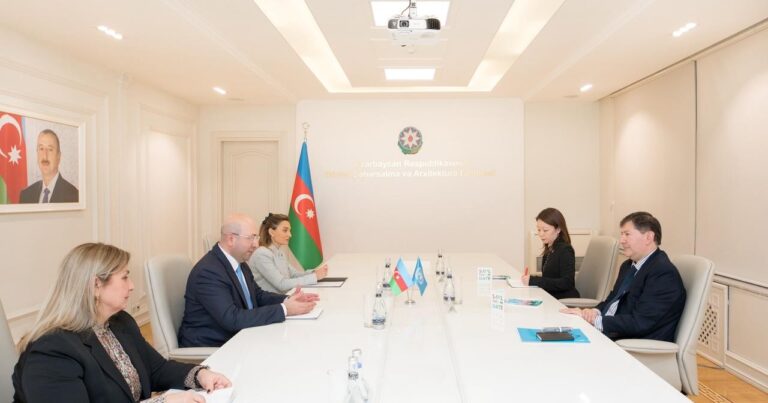 Anar Quliyev BMT-nin Azərbaycandakı müvəqqəti rezident əlaqələndiricisi ilə görüşüb