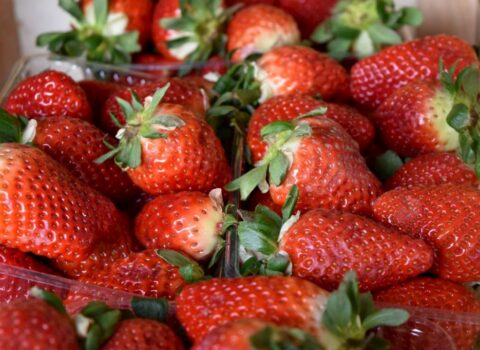 Bakıda satışa çıxan “fevral çiyələkləri” — Bu şəxslər uzaq dursun