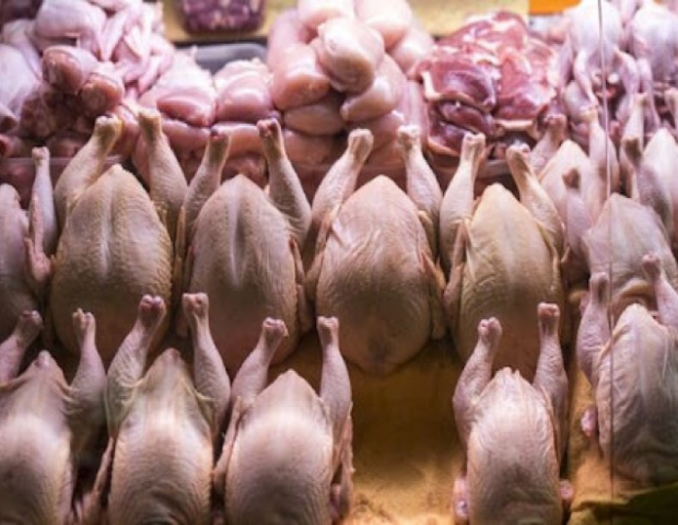 XƏBƏRDARLIQ: Toyuğu şişirdib hinduşka adı ilə camaata sırıyırlar – Sağlamlığınız TƏHLÜKƏDƏ