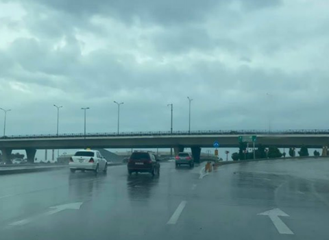 Zığ dairəsi-Hava Limanı yolunda sürət həddi endirildi