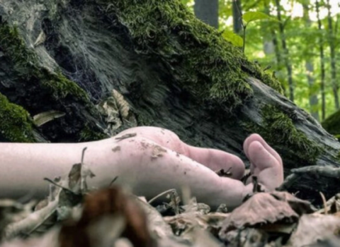 “Toyuq davası” qətllə nəticələndi – Məhkəmə 18 il hökm oxudu