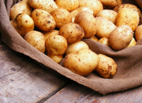 Kartof niyə bu qədər BAHALAŞIB? – Xaricə 59 qəpiyə, daxili bazarda 1 manatdan ÇOX