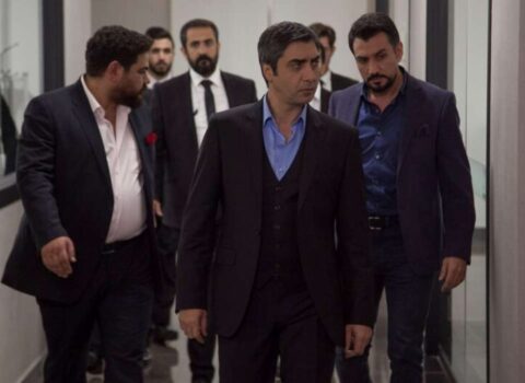 “Kurtlar Vadisi”ndə narkotik şəbəkəsi haqda deyilənlər heyrətləndirdi