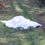 30 yaşlı qadının meyiti evinin həyətindən tapıldı