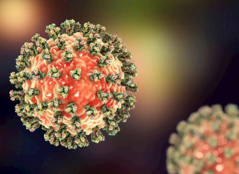 Hər an yeni pandemiya başlaya bilər — Atlardan yoluxur