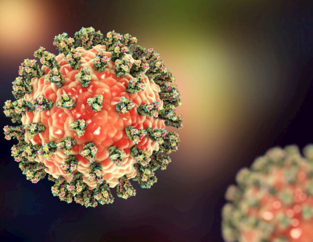 Hər an yeni pandemiya başlaya bilər — Atlardan yoluxur