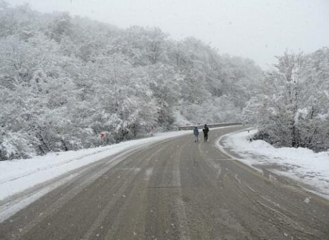 Bu rayonlara qar yağıb