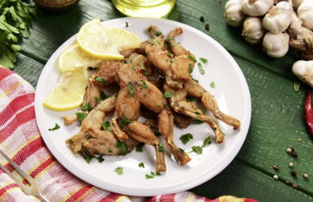 Azərbaycan 1 ildə 23 ton qurbağa əti satıb