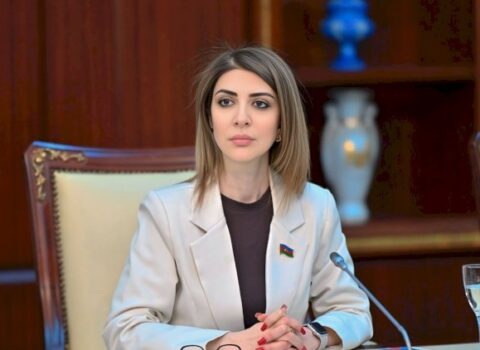 Deputat seçicilərini belə aldadır – Həm də rəsmi qəzet vasitəsilə