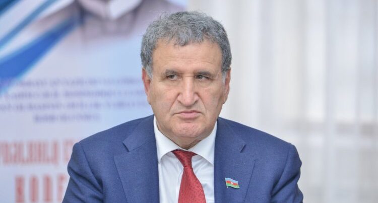 İsa Həbibbəyli alimlərin iclasda yatması xəbərindən DANIŞDI