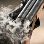 Lənkəranda kişi arvadını, sonra özünü ov tüfəngi ilə öldürdü