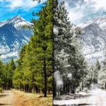 “Bahar gəlir, yoxsa qış geri qayıdır?” sualına İqlimşünasdan MARAQLI CAVAB