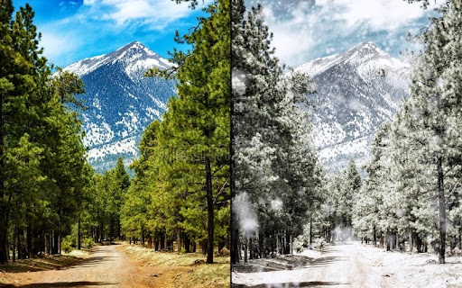 “Bahar gəlir, yoxsa qış geri qayıdır?” sualına İqlimşünasdan MARAQLI CAVAB