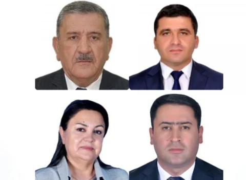 Naxçıvan Ali Məclisinin komitələrinin sədrləri seçilib