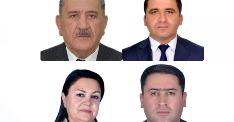Naxçıvan Ali Məclisinin komitələrinin sədrləri seçilib Naxçıvan Ali Məclisinin komitələrinin sədrləri seçilib