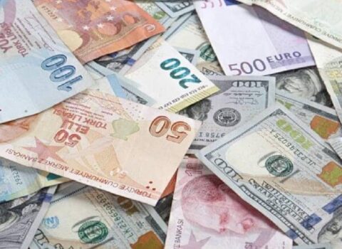 Bu ölkədə pullar dəyişir: Tarixi şəxsiyyətləri təbiət mənzərələri əvəz edəcək