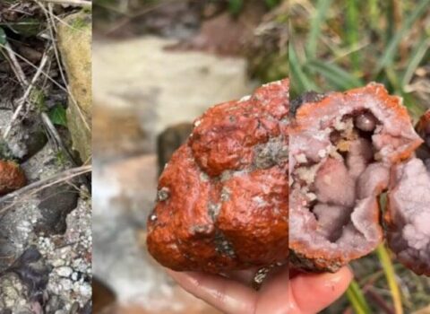 Üstündən əzib keçirlər, amma içindən xəzinə çıxır – FOTO