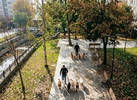 Gördüyü işdən ayda 7500 qazanır: Heç bir xərci yoxdur, qazancı özünə qalır