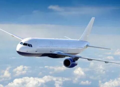 Gürcüstan uçuşları ləğv etdi