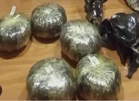 50 kiloqrama yaxın narkotik vasitə aşkar edilib