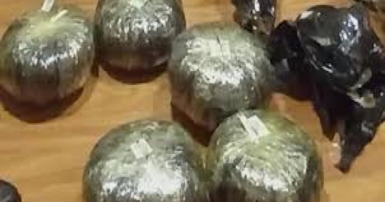 50 kiloqrama yaxın narkotik vasitə aşkar edilib 50 kiloqrama yaxın narkotik vasitə aşkar edilib