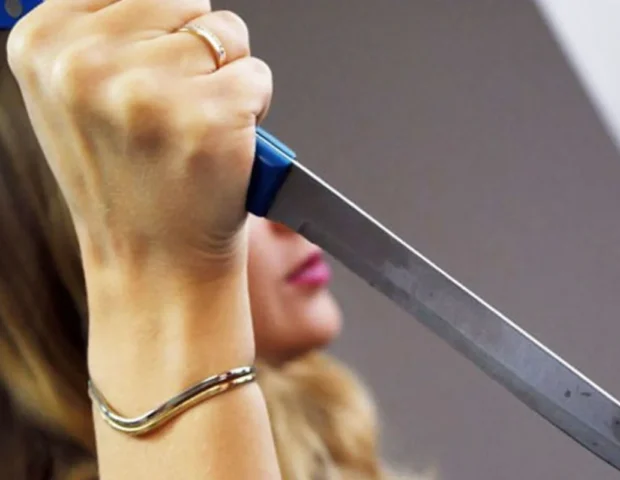 Gəlin qayınanasını 13 bıçaq zərbəsi ilə qətlə yetirdi – Astaradakı cinayətin TƏFƏRRÜATI