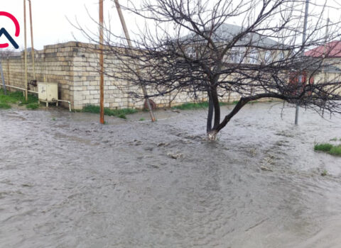 Qubada kanalizasiya borusu tutuldu, 10-a yaxın evi su basdı – Foto