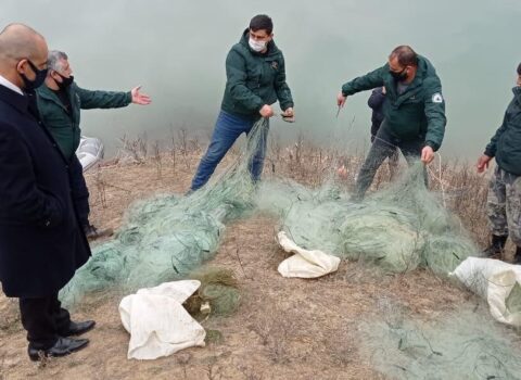 Kür çayında cərəyanla qanunsuz balıq ovlayan 3 nəfər saxlanıldı