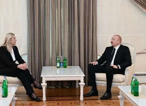 Prezident Jelka Tsviyanoviçlə görüşdü