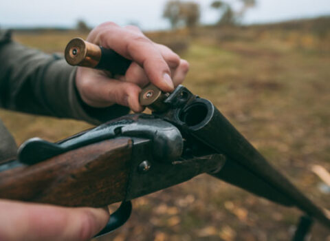 Qardaş qardaşı ov tüfəngi ilə qətlə yetirdi